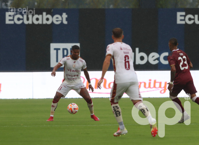 El colorado frena a Vinotinto
