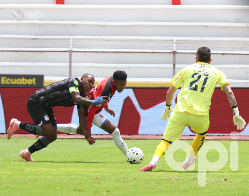 Felinos norteños saborean victoria ante el Cetáceo