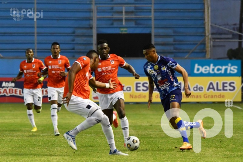 El cetáceo el último invitado a la Sudamericana