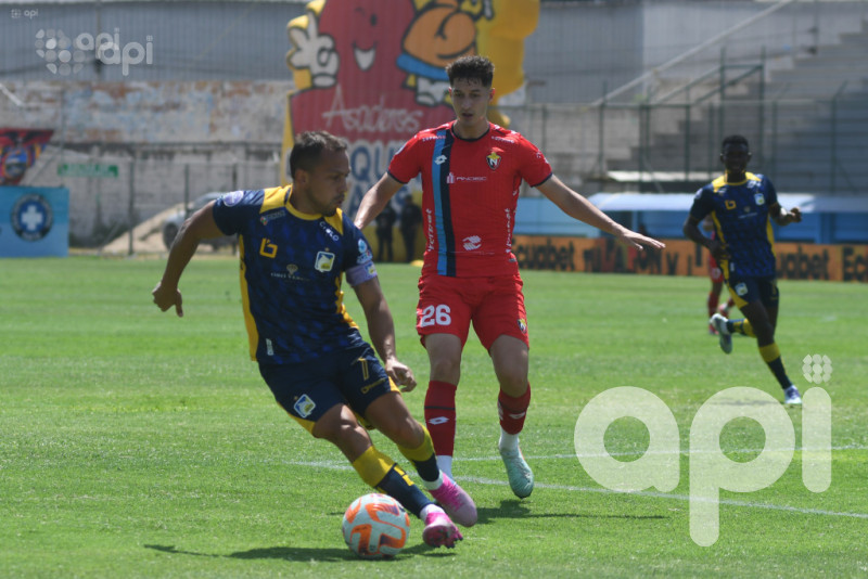 Cetáceo y criollos se alejan de Sudamericana