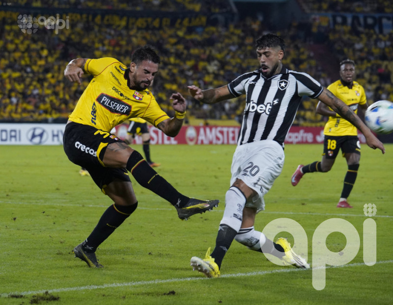 Libertadores: Barcelona deja escapar un 1-1 con Botafogo