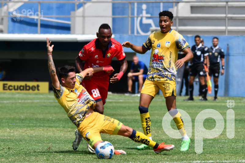 Cetáceo casi salvado y Criollos a copa internacional