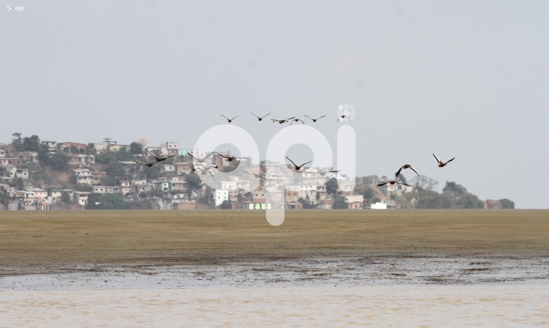 GYE-DRAGADO-RIO-GUAYAS