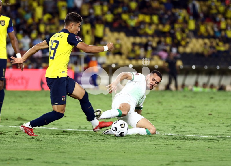 FBL-ELIMINATORIAS-ECUADOR-BOLIVIA