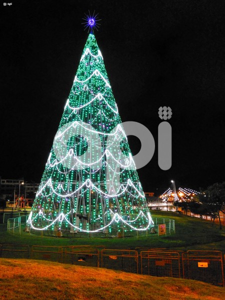 CUENCA-ARBOL-NAVIDAD