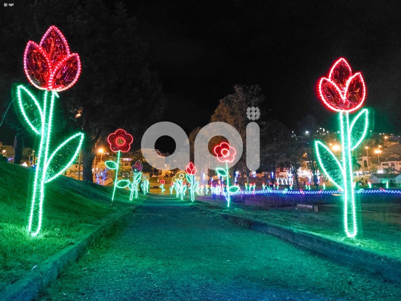 CUENCA-ARBOL-NAVIDAD