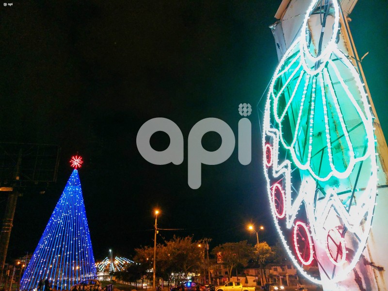 CUENCA-ARBOL-NAVIDAD