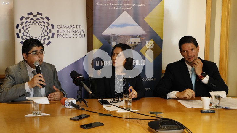 FIN-MINERIA-LOS-CEDROS