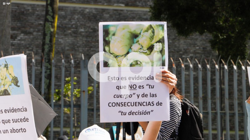 SOI-PLANTON-PRO-VIDA-ABORTO