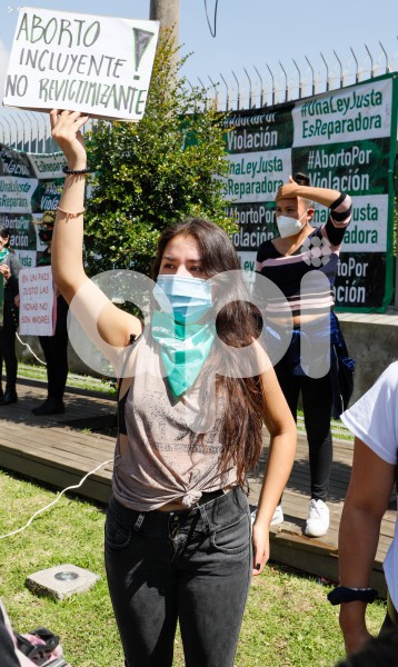 SOI-PLANTON-PRO-VIDA-ABORTO