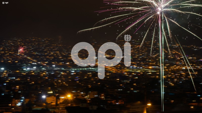 ACE-ANO-NUEVO