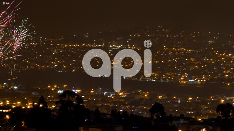 ACE-ANO-NUEVO