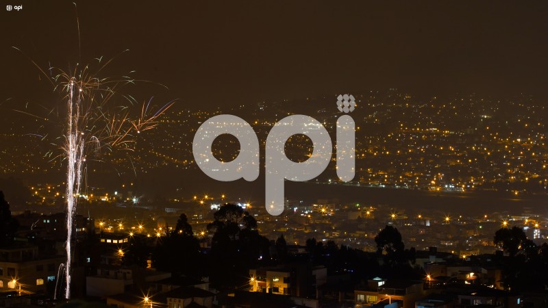 ACE-ANO-NUEVO