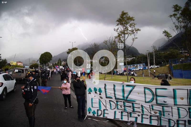UIO-PLANTÃN-CENIZARIO-OCCIDENTAL
