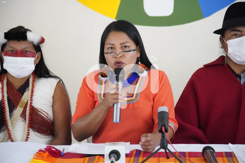 UIO-RRPP-CONAIE-CORTE-GOBIERNO