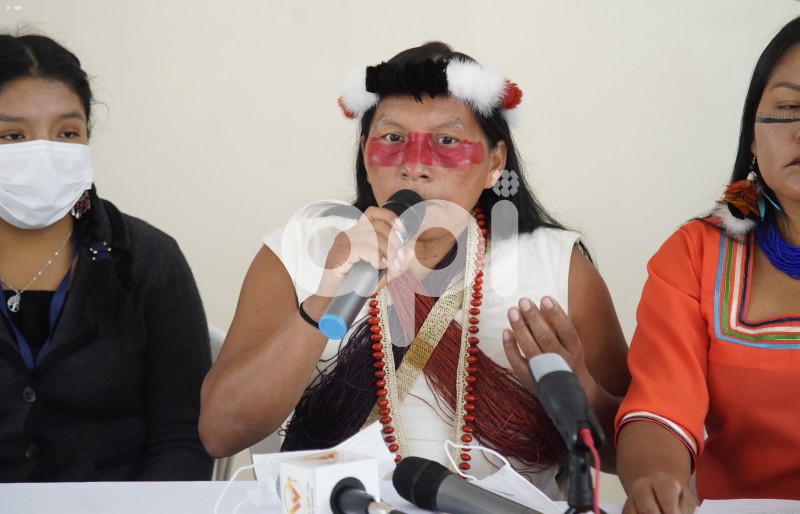 UIO-RRPP-CONAIE-CORTE-GOBIERNO