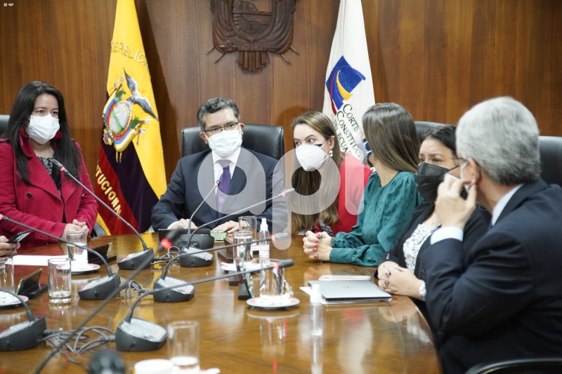 UIO-PLENO-CORTE-CONSTITUCIONAL-ELECCION
