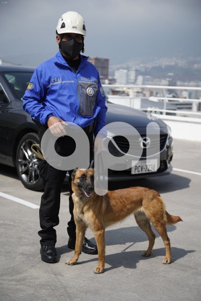 UIO-SOI-HOMENAJE-RENAULT-CANESPN-GASCA