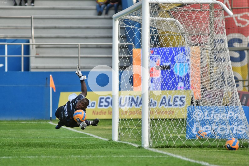 FBL-LIGAPRO-DELFIN - MACARA
