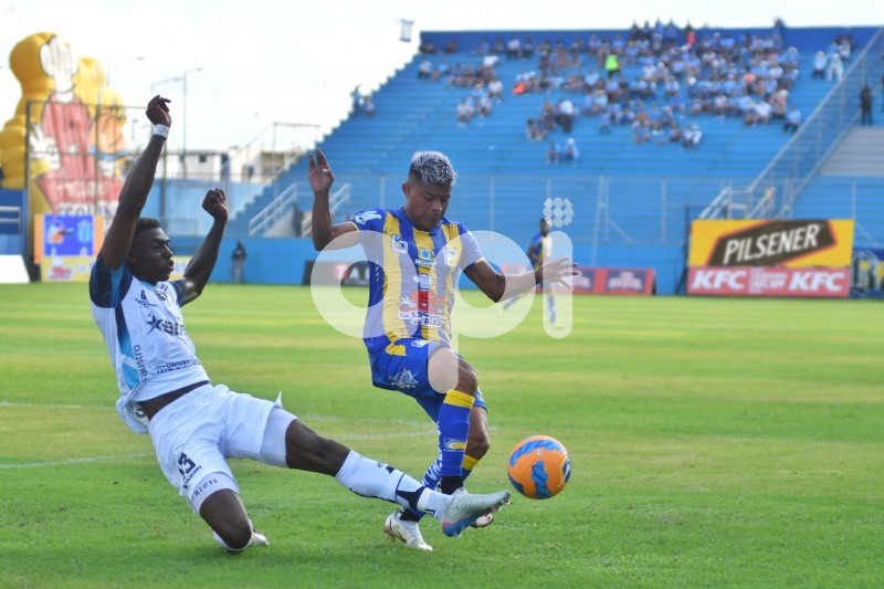 FBL-LIGAPRO-DELFIN - MACARA