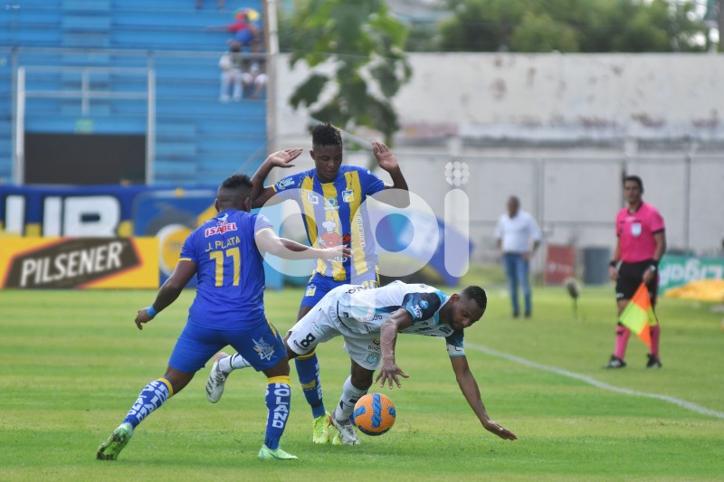FBL-LIGAPRO-DELFIN - MACARA