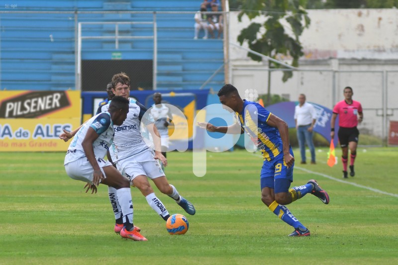 FBL-LIGAPRO-DELFIN - MACARA