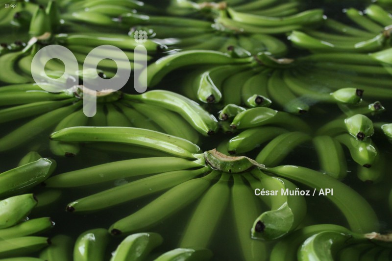 GYE-AFECTACION  BANANEROS
