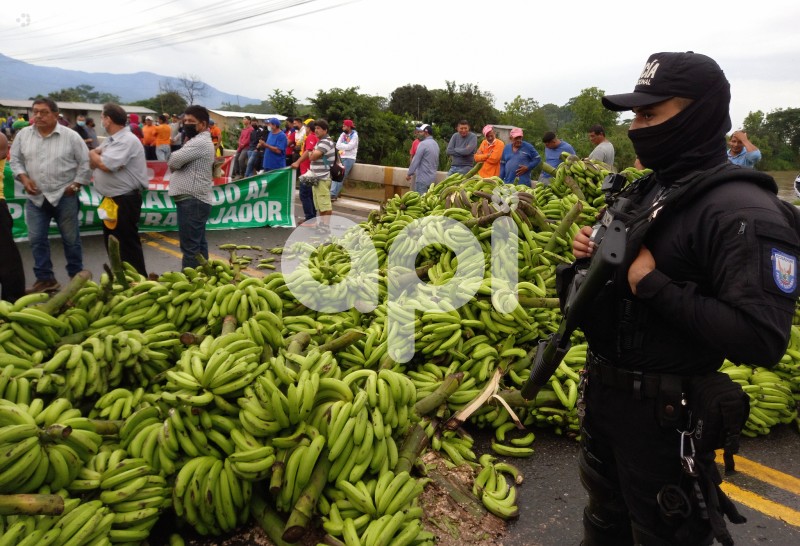 GYE-PROTESTA- BANANEROS