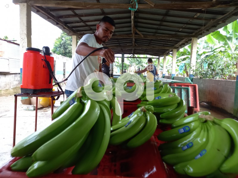 GYE-BANANEROS