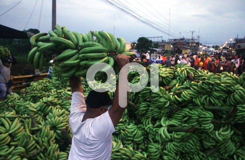 GYE-PROTESTA- BANANEROS
