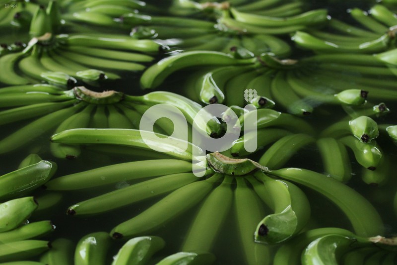 GYE-BANANEROS