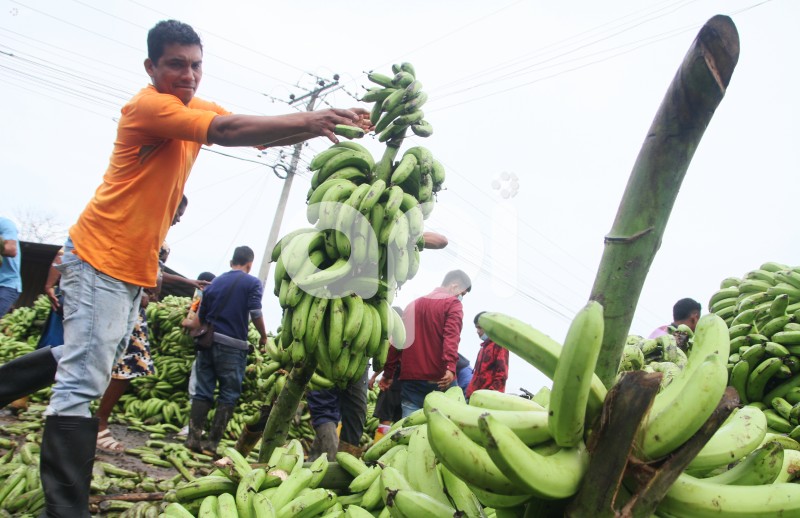 GYE-PROTESTA- BANANEROS