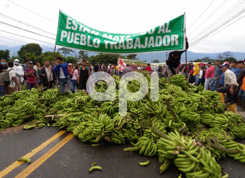 GYE-PROTESTA- BANANEROS