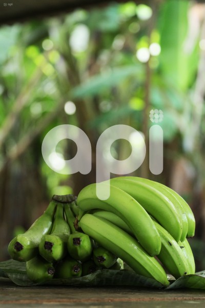 GYE-BANANEROS