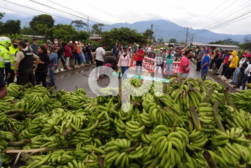 GYE-PROTESTA- BANANEROS