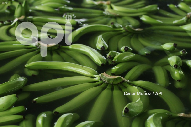 GYE-AFECTACION  BANANEROS