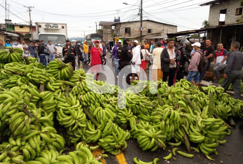 GYE-PROTESTA- BANANEROS