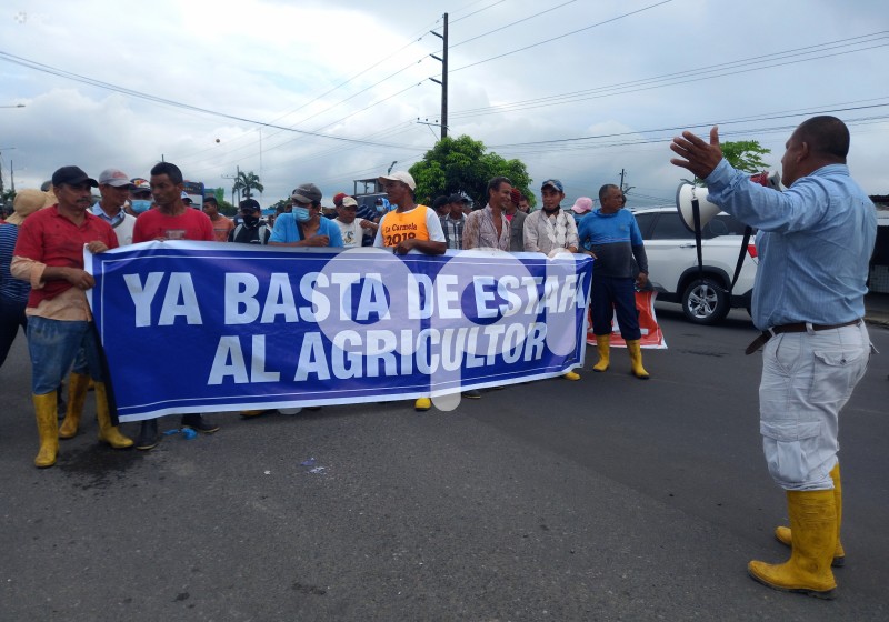 GYE-PROTESTA-BANANEROS