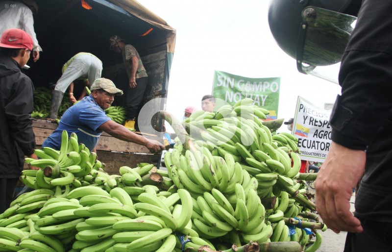 GYE-PROTESTA-BANANEROS