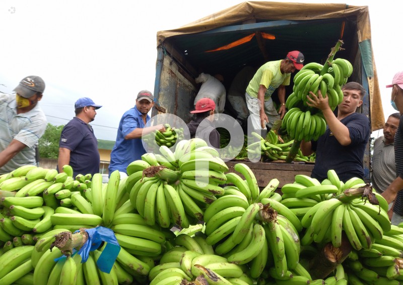 GYE-PROTESTA-BANANEROS