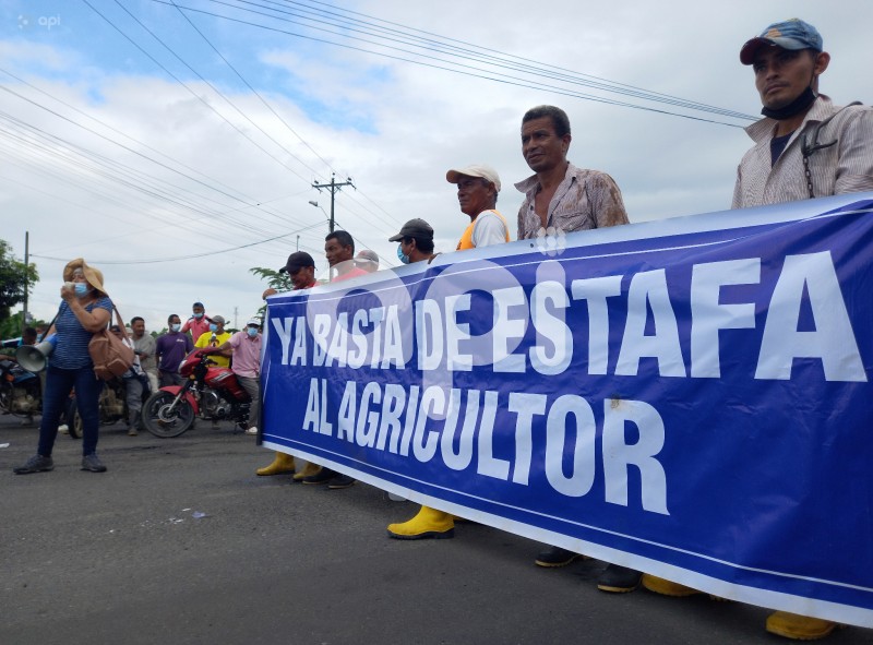 GYE-PROTESTA-BANANEROS