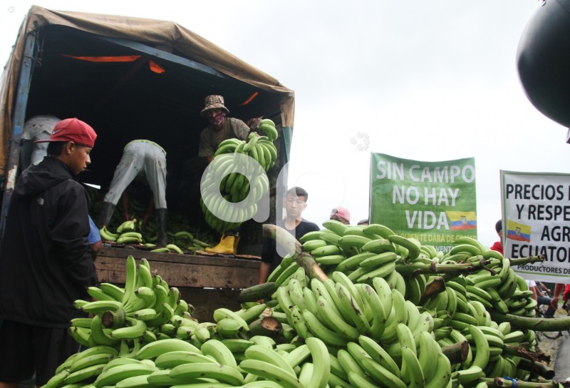 GYE-PROTESTA-BANANEROS