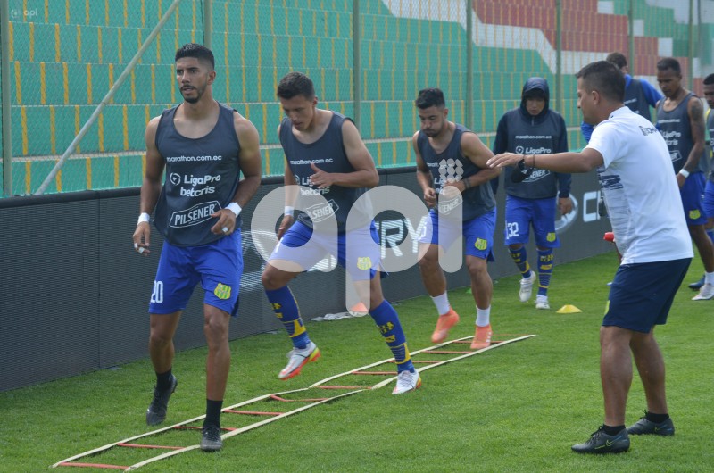 LIP-GUALACEO-INDEPENDIENTE