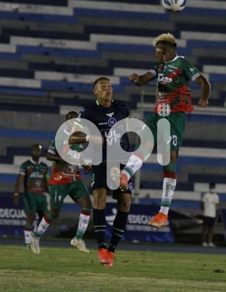 FBL-LIGAPRO-BUHOS-SANTO DOMINGO