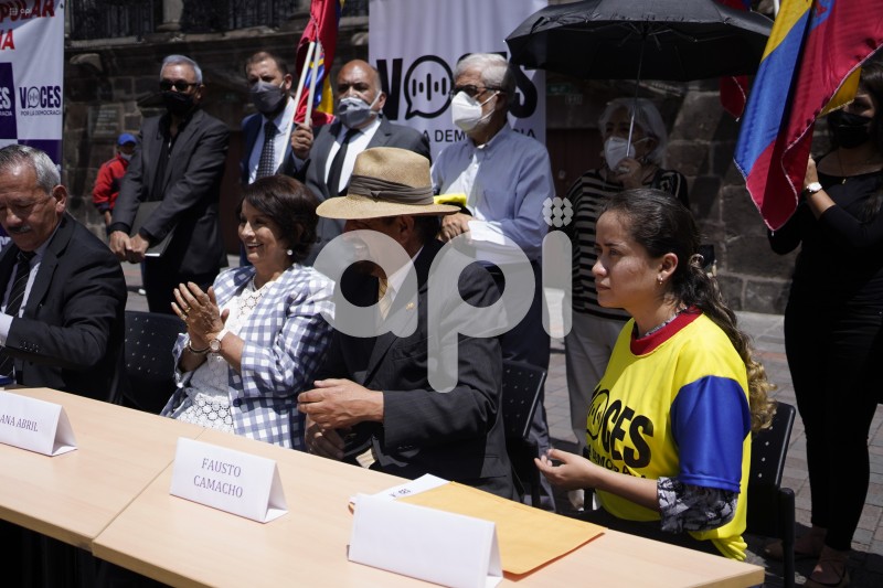 UIO-RRPP-COLECTIVO-VOCES-CPCCS