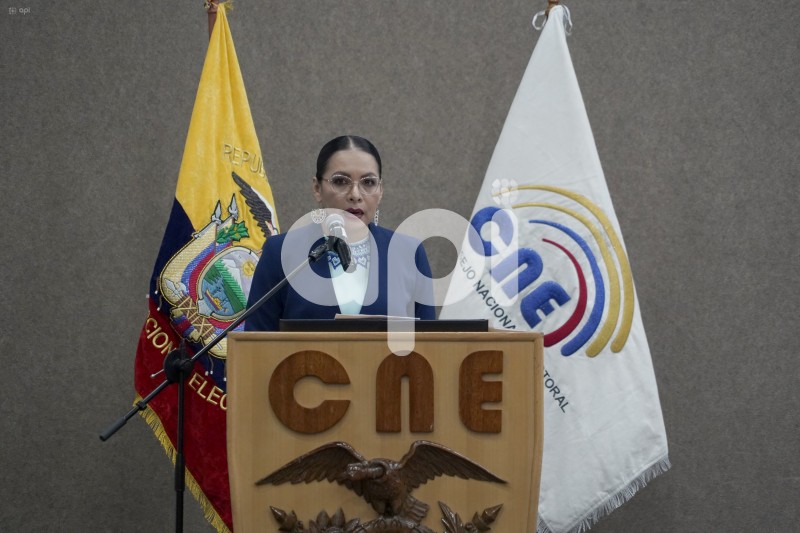 CNE-ORGANIZACIONES-POLITICAS