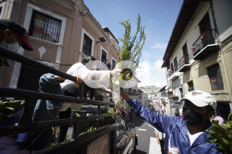 UIO-DOMINGO-RAMOS