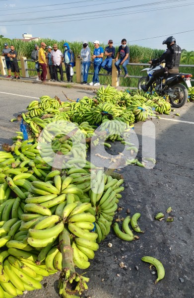 GYE-PROTESTA-BANANEROS