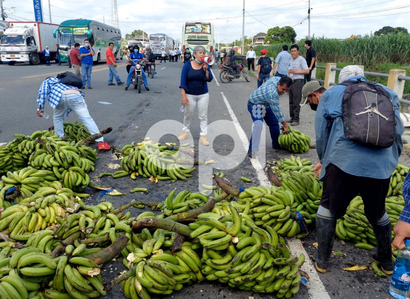 GYE-PROTESTA-BANANEROS