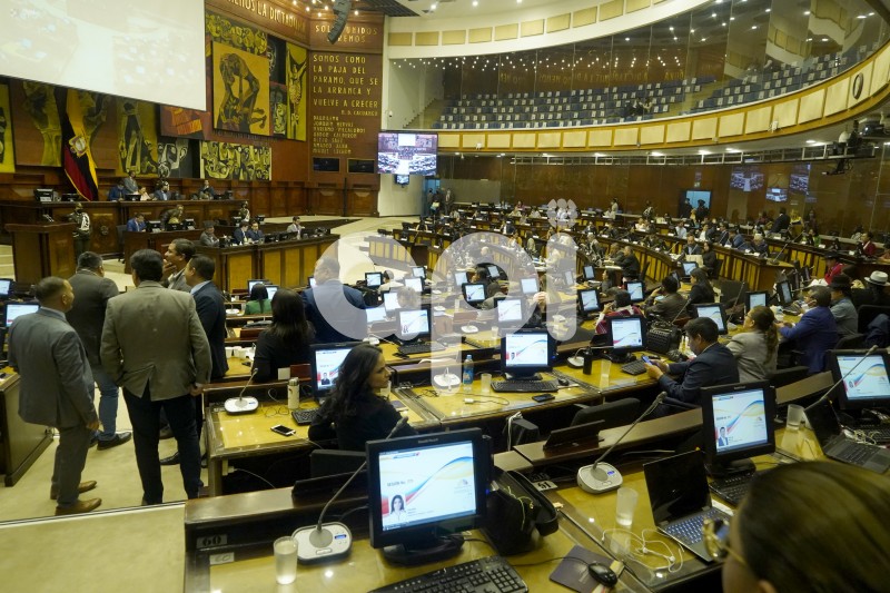 ASAMBLEA-PLENO-ABORTO